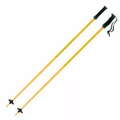 Atomic AMT SQS Poles