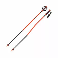 Atomic Redster RS GS SQS Poles