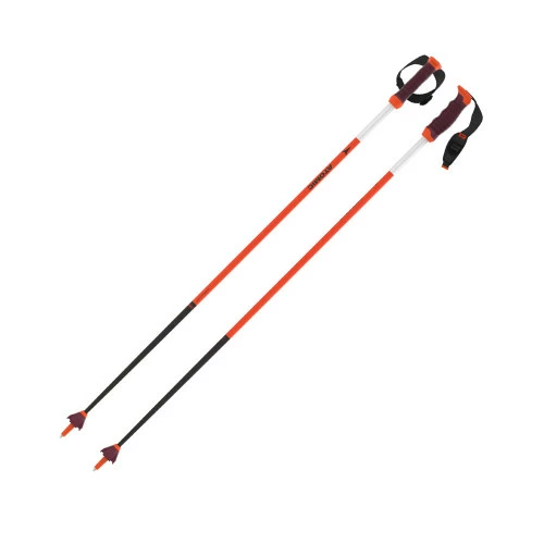 Atomic Redster Ultra SQS Poles 2 Atomic Redster Ultra SQS Poles