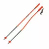 Atomic Redster GS Junior Poles 1 Atomic Redster GS Junior Poles -Atomic Geschäft AJ5005720 1