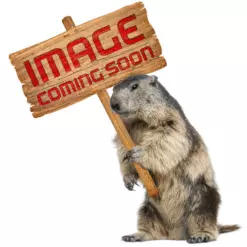 Atomic Redster Junior 60